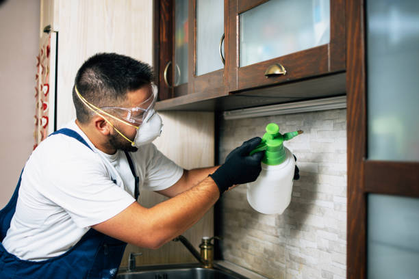 Best Pest Removal Services  in Elm Creek, NE