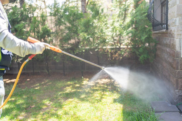 Best Best Pest Control Companies  in Elm Creek, NE