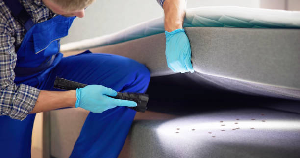 Best Cockroach Control Services  in Elm Creek, NE
