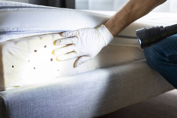 Best Bed Bug Extermination  in Elm Creek, NE