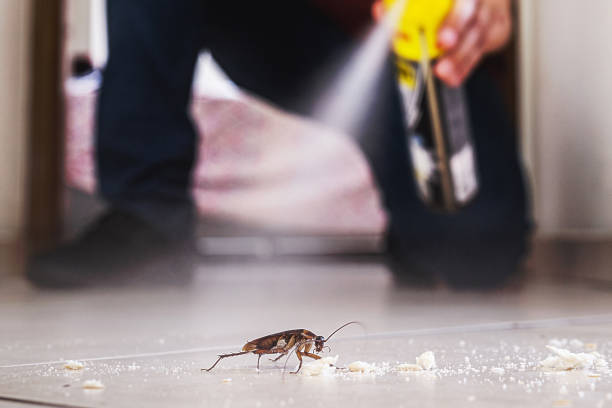 Wildlife Control Services in Elm Creek, NE